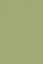 FARROW AND BALL SAXON GREEN NO. 80 PAINT